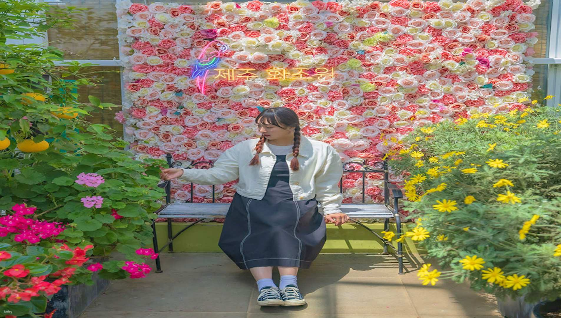 Immerse yourself in the beauty of Hwajowon where colorful blooms surround you creating a serene spot to relax before your birdwatching adventure on Jeju Island.